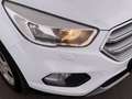 Ford Kuga 1.5 EcoBoost Trend SITZHZG TEMPOMAT KLIMA Weiß - thumbnail 12