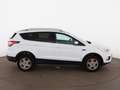 Ford Kuga 1.5 EcoBoost Trend SITZHZG TEMPOMAT KLIMA Weiß - thumbnail 9
