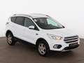 Ford Kuga 1.5 EcoBoost Trend SITZHZG TEMPOMAT KLIMA Weiß - thumbnail 4
