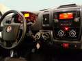 Fiat Ducato 35 L2H1 Nat.Pow(100kW) EU6 D-temp GNC Blanco - thumbnail 11