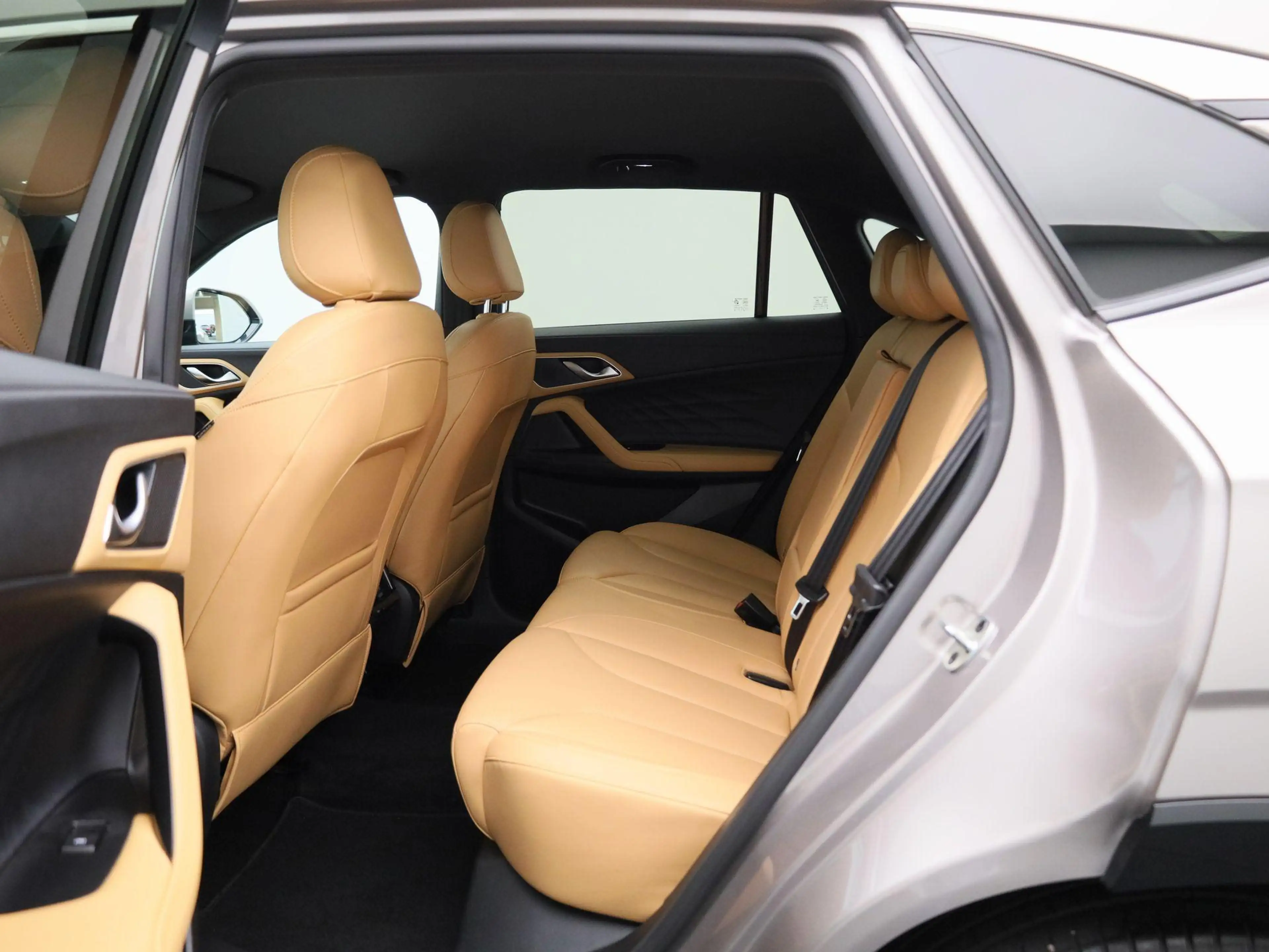 MG HS PHEV 1.5 Luxury — photo 10