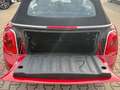 MINI Cooper Cabrio-LEDER-KAMERA-SHZ-LED-SPORTSITZE Rot - thumbnail 6