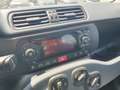 Fiat Panda III 1.0 FireFly 12V 70CV S&S Hybrid Easy EU6D Azul - thumbnail 8