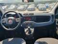 Fiat Panda III 1.0 FireFly 12V 70CV S&S Hybrid Easy EU6D Azul - thumbnail 6