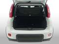 Fiat Panda City Life Hybrid 1.0 Gse 51kw (70CV) Blanc - thumbnail 21