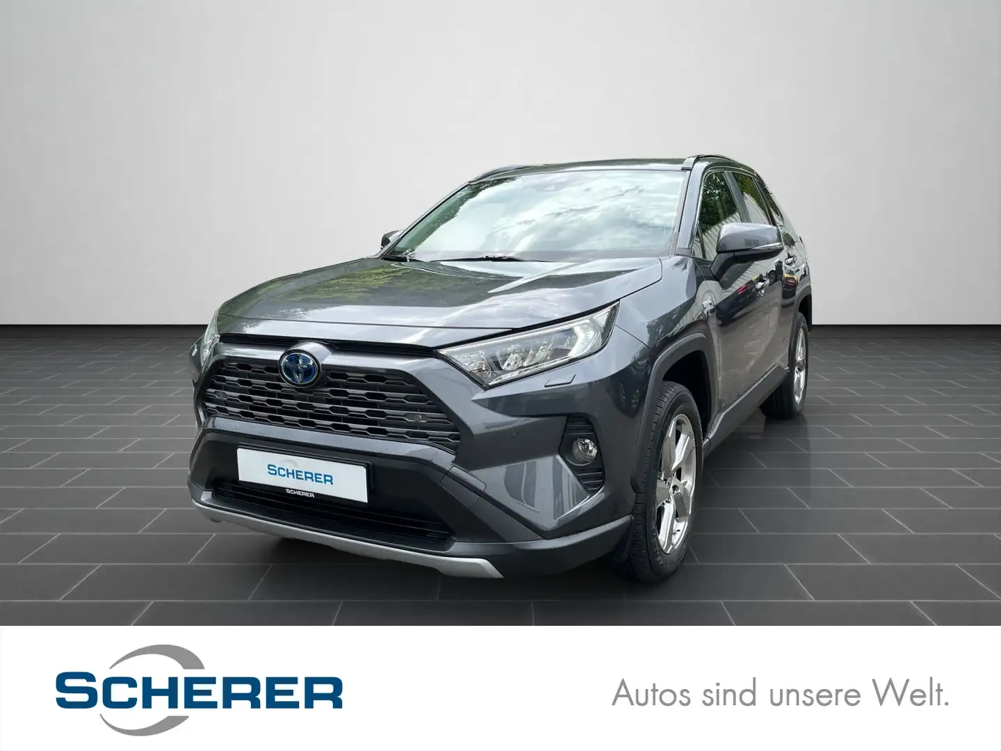 Toyota RAV 4 RAV4 2.5 VVT-i Mildhybrid Team D 4x2 8 FAC Grau - 1