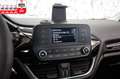 Ford Fiesta SPUR*SITZH*LENKRADHEIZ*PDC*KOMFORT*5-TÜR* Grau - thumbnail 15
