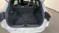 Ford Puma 1.0 EcoBoost Hybrid 125 CV S&S ST-Line Bianco - thumbnail 15