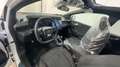 Ford Puma 1.0 EcoBoost Hybrid 125 CV S&S ST-Line Bianco - thumbnail 6