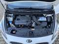 Kia Carens Spirit 7Sitze/PANO/KLIMA/NAVI/AHK Weiß - thumbnail 35