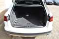 Audi A6 allroad 3.0 TDI Quattro, Leder, LED, Luchtvering, ACC, Lan Blanc - thumbnail 8