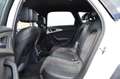 Audi A6 allroad 3.0 TDI Quattro, Leder, LED, Luchtvering, ACC, Lan Blanc - thumbnail 13