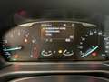 Ford Fiesta Vignale NAV LED KAMERA ACC SITZ.HZG KEYLESS TEMPOM Gris - thumbnail 11