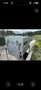 Sonstige Sonstige Arkticcamper - thumbnail 18