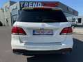 Mercedes-Benz GLE 250 d 4-Matic AUTO. PACK-AMG/NIGHT PANO SUSP. PNEUMAT. White - thumbnail 8
