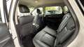 Nissan Pulsar Tekna*360-Kamera*Leder*Lka*Bsd*Xenon*Shz* Alb - thumbnail 14