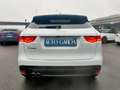 Jaguar F-Pace 2018 2.0d i4 R-Sport awd 180cv TETTO PANORAMICO Blanc - thumbnail 6
