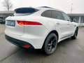 Jaguar F-Pace 2018 2.0d i4 R-Sport awd 180cv TETTO PANORAMICO Blanc - thumbnail 7