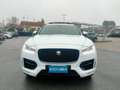 Jaguar F-Pace 2018 2.0d i4 R-Sport awd 180cv TETTO PANORAMICO Blanc - thumbnail 2