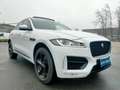 Jaguar F-Pace 2018 2.0d i4 R-Sport awd 180cv TETTO PANORAMICO Blanc - thumbnail 1