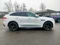 Jaguar F-Pace 2018 2.0d i4 R-Sport awd 180cv TETTO PANORAMICO Blanc - thumbnail 8