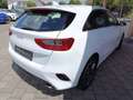 Kia Ceed / cee'd CEED_5 1.5T 140 DCT7 SPIRIT| Bianco - thumbnail 6