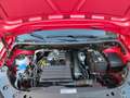Volkswagen Caddy Van Maxi 1.4 TGI Metano  Prezzo+IVA KM 93.000 Rot - thumbnail 15