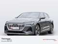 Audi e-tron 50 Q 2x S LINE LEDER KAMERA LM20 Grau - thumbnail 1