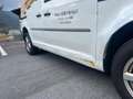 Volkswagen Caddy Kasten BMT 4Motion Blanc - thumbnail 5