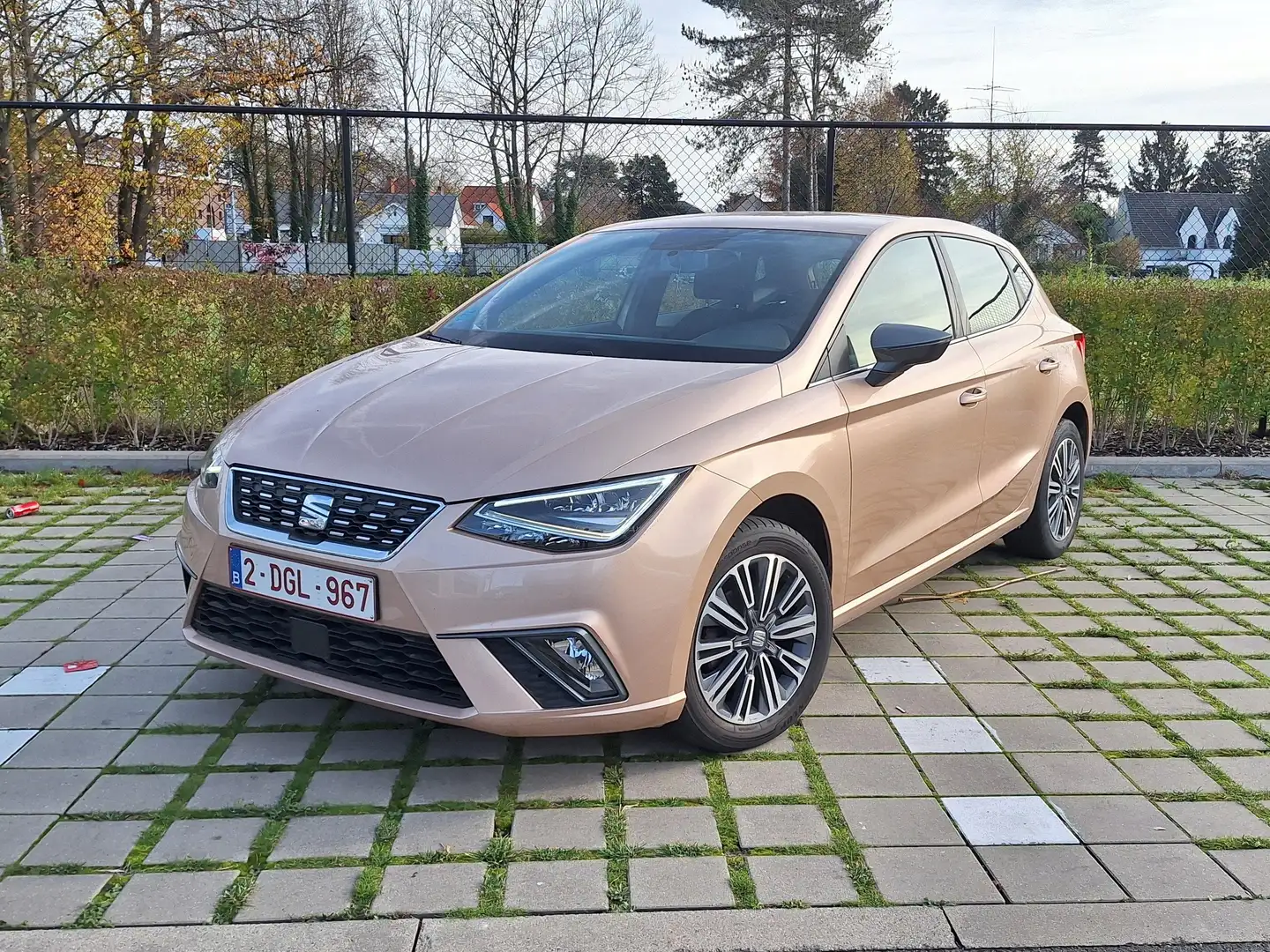SEAT Ibiza Ibiza 1.0 TSI Xcellence Bronze - 2