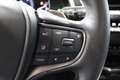 Lexus UX 300e Luxury Gris - thumbnail 41
