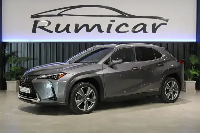 Lexus UX 300e Luxury