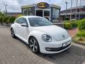 Volkswagen Beetle The 1.2 TSI Design+PDC+ Weiß - thumbnail 3