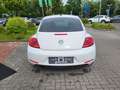 Volkswagen Beetle The 1.2 TSI Design+PDC+ Weiß - thumbnail 14