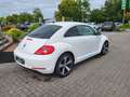 Volkswagen Beetle The 1.2 TSI Design+PDC+ Weiß - thumbnail 4