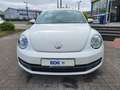 Volkswagen Beetle The 1.2 TSI Design+PDC+ Weiß - thumbnail 7