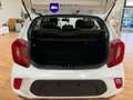 Kia Picanto 1.0 CVVT 49kW (67CV) Concept Blanco - thumbnail 7
