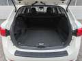 Toyota Avensis SportsBusiness Edition ACC|SPUR|NAVI|SHZ Weiß - thumbnail 13
