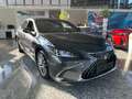 Lexus ES 300 h Luxury Line HUD, 360°Kamera, Schiebedach Gri - thumbnail 5