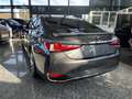 Lexus ES 300 h Luxury Line HUD, 360°Kamera, Schiebedach Gri - thumbnail 7
