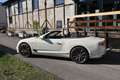 Bentley Continental GTC GTC V8 Azure/Voll!Neuwagen mit TZ!Einzelstück! Weiß - thumbnail 14