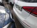 Mercedes-Benz A 180 180CDI Aut. Blanco - thumbnail 5