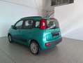 Fiat Panda Panda 1.2 69 cv Lounge - thumbnail 5
