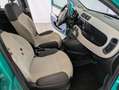 Fiat Panda Panda 1.2 69 cv Lounge - thumbnail 11