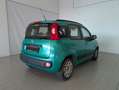 Fiat Panda Panda 1.2 69 cv Lounge - thumbnail 7