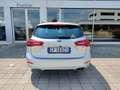Ford Focus ST-Line Design EcoBoost 125cv Power MHEV Fari LED Gris - thumbnail 17