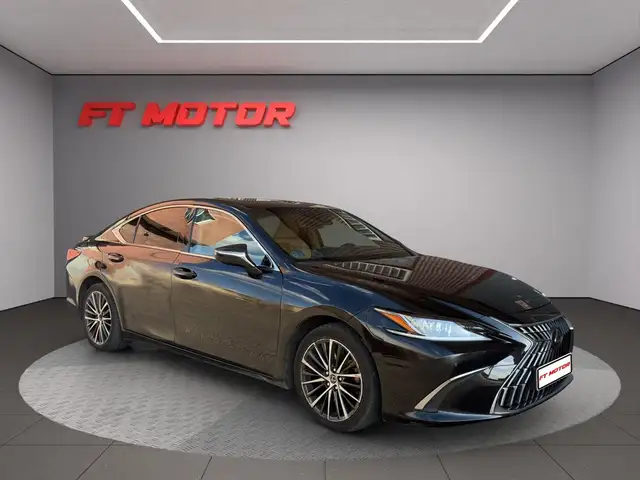 Lexus ES 300 300h Luxury