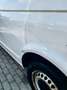 Volkswagen T6 Transporter Kasten Kombi lang Motorschaden Blanc - thumbnail 23