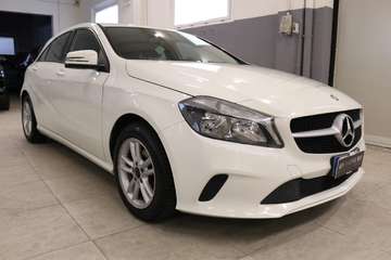 d Executive