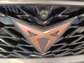 CUPRA Formentor 2.0 TDI 110 kW Gris - thumbnail 14